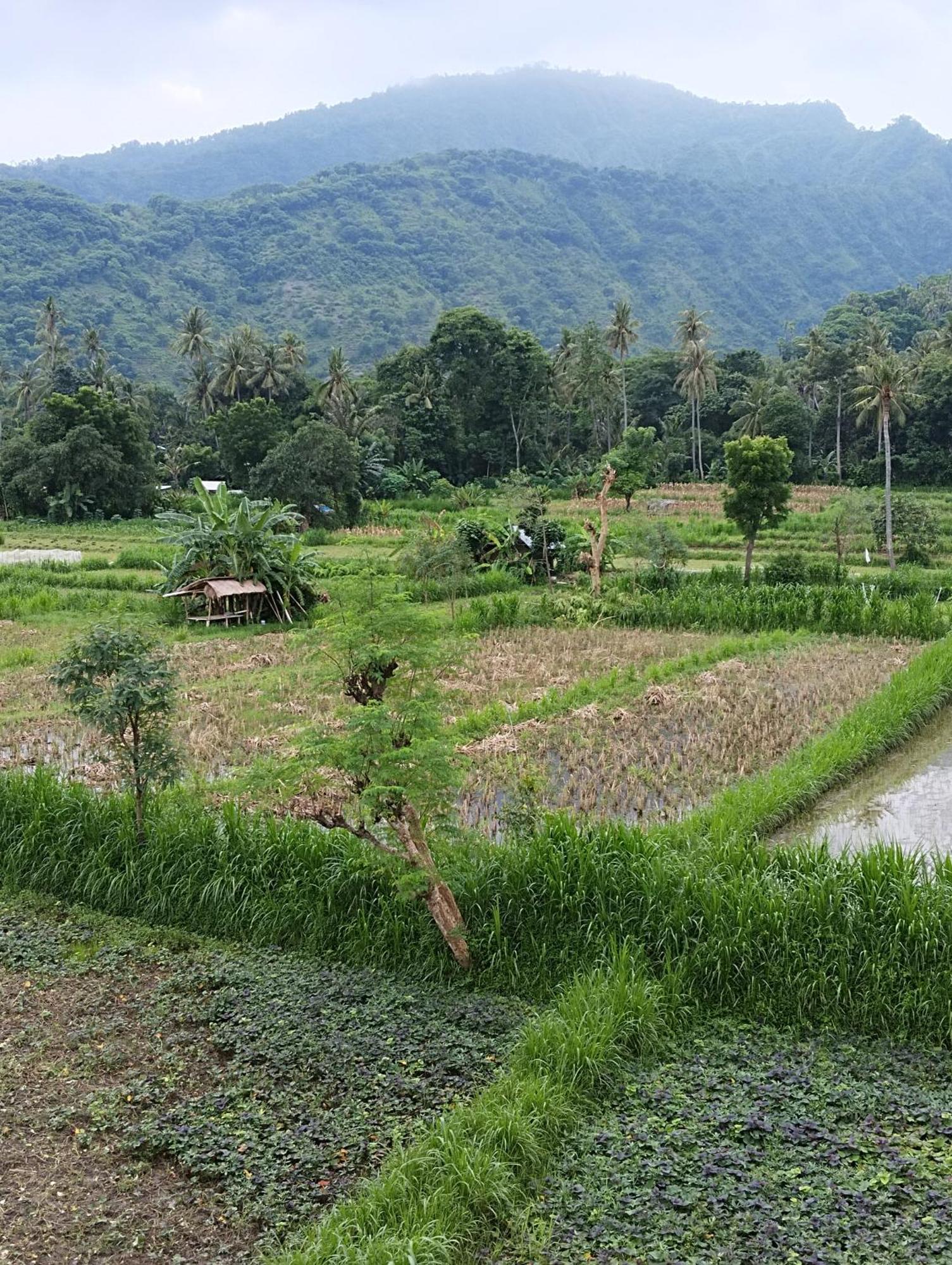 Amed Stop Inn Homestay, Rooftop Restaurant And Bar ภายนอก รูปภาพ